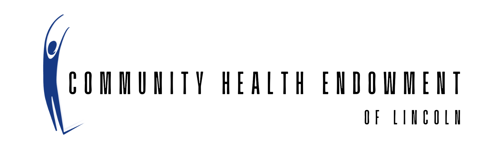 Community Health Endowment logo